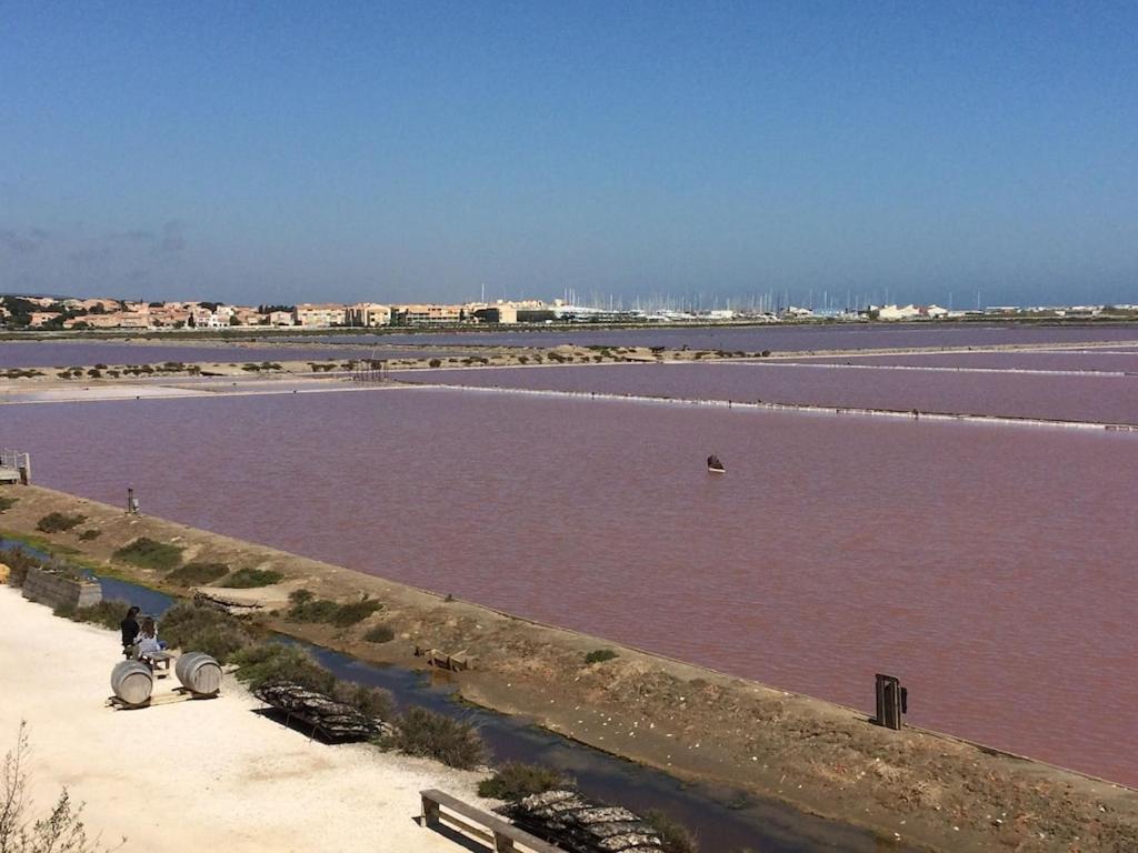 Gruissan Appartement Calme, Vue Sur Port De Plaisance -Clim, Empl.Parking Exteriör bild