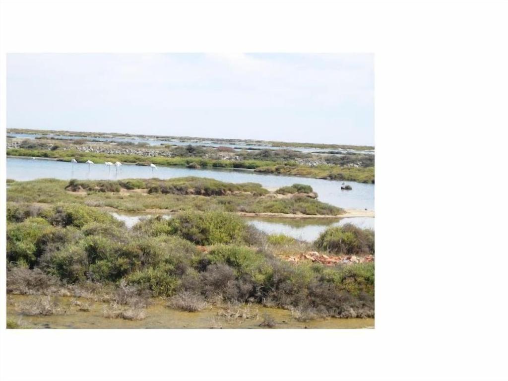 Gruissan Appartement Calme, Vue Sur Port De Plaisance -Clim, Empl.Parking Exteriör bild