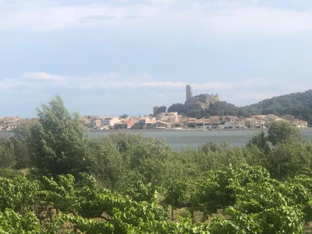 Gruissan Appartement Calme, Vue Sur Port De Plaisance -Clim, Empl.Parking Exteriör bild